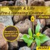 60hr 2-15 Health and Life Insurance Pre-Licensing course INS003FL60 