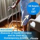 14 hr All lines CE - Elements Of Health Insurance & It's Uses (INSCE002FL14)